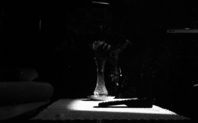 01_stenopeiche