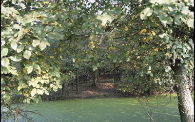 03_Looking for a new landscape