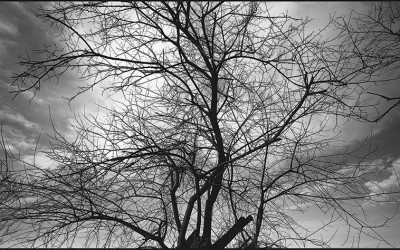 10_Looking for a new landscape