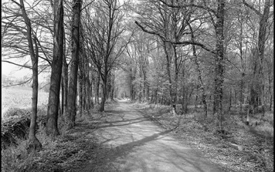 18_Looking for a new landscape