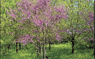 27_Looking for a new landscape