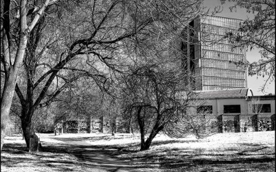 28_Looking for a new landscape