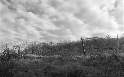 30_Looking for a new landscape