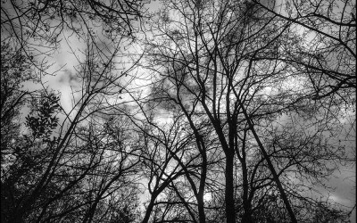 48_Looking for a new landscape