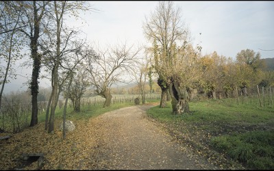 05_Alla ricerca di un nuovo paesaggio