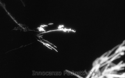 05_informale