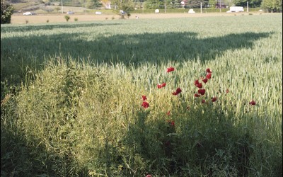 07_Alla ricerca di un nuovo paesaggio