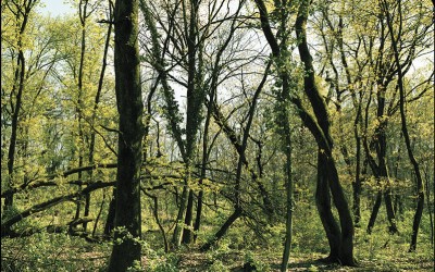 09_Alla ricerca di un nuovo paesaggio