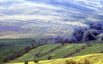 17_colore