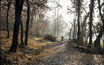 19_Alla ricerca di un nuovo paesaggio