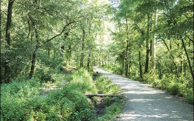 37_Alla ricerca di un nuovo paesaggio