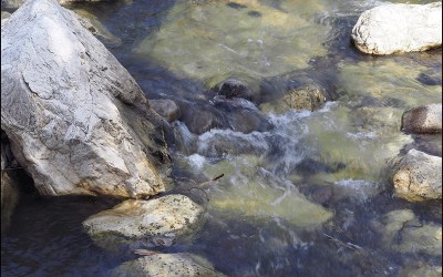 41_Alla ricerca di un nuovo paesaggio