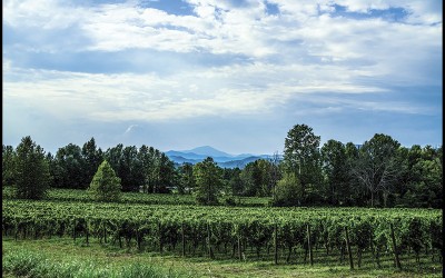 45_Alla ricerca di un nuovo paesaggio