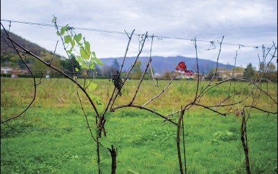 47_Alla ricerca di un nuovo paesaggio