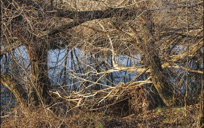 49_Alla ricerca di un nuovo paesaggio