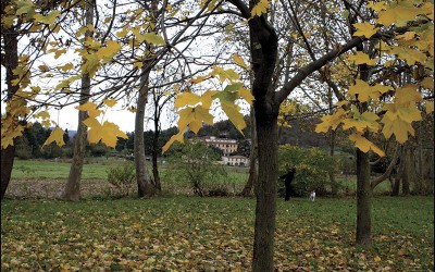 50_Alla ricerca di un nuovo paesaggio