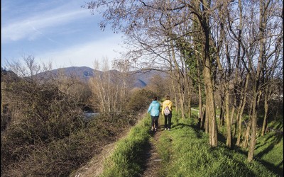 51_Alla ricerca di un nuovo paesaggio