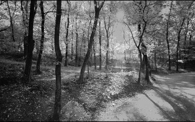 52_Alla ricerca di un nuovo paesaggio